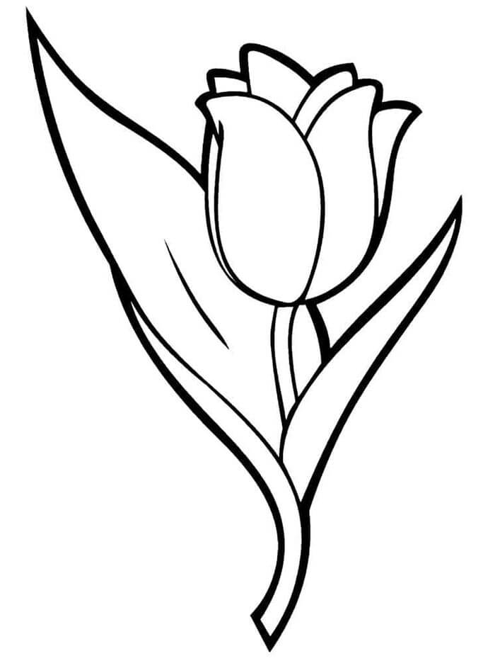 Stampabile Libero Tulipano da colorare