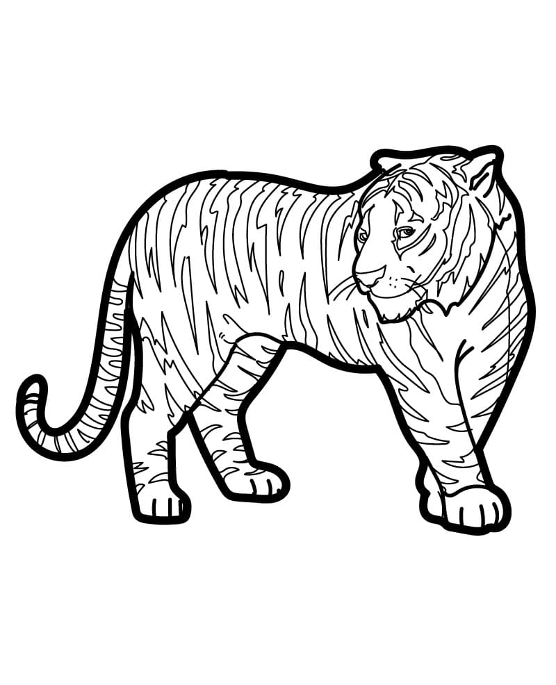 Tigre Bellissima da colorare