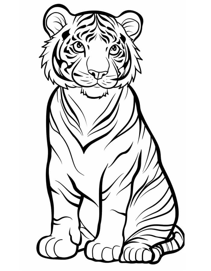 Tigri da colorare