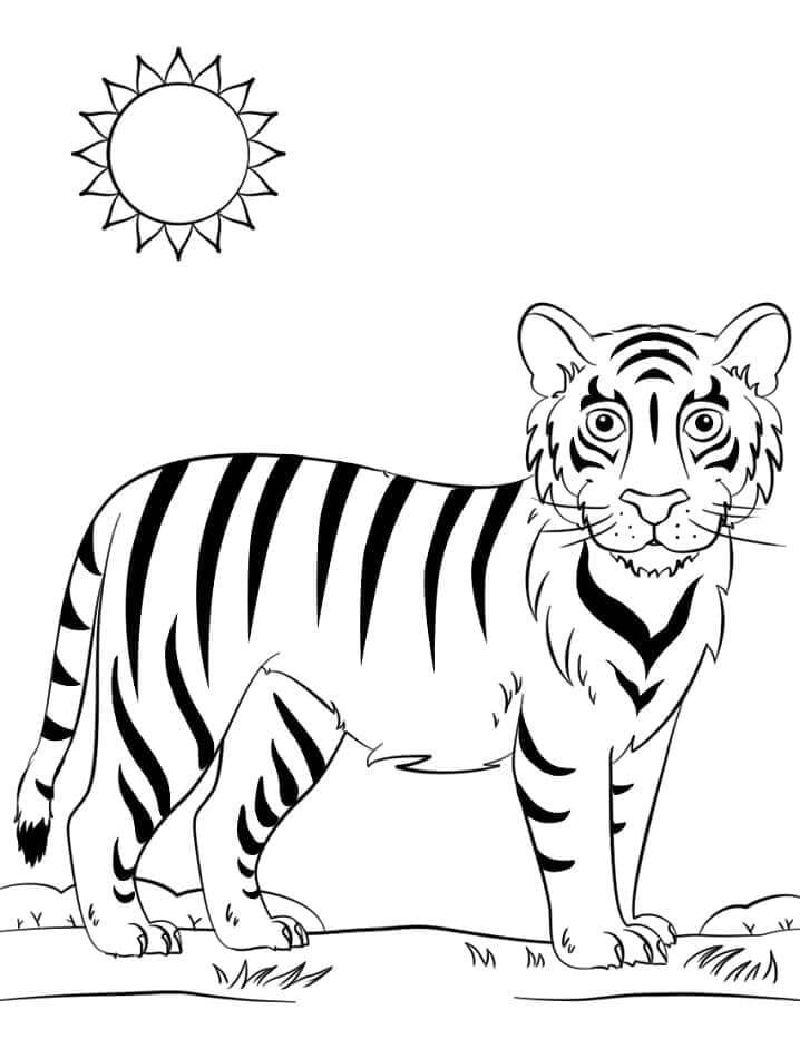 Tigre Stampabile Gratis da colorare