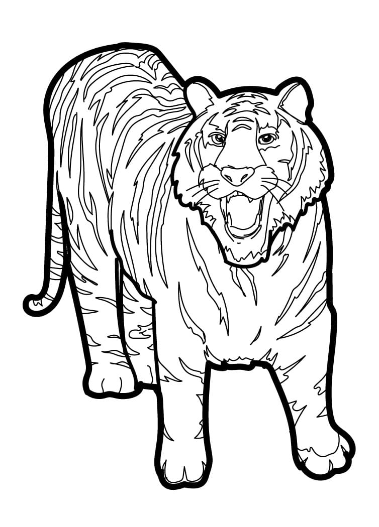 Tigre Stupenda da colorare