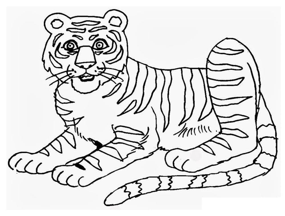 Tigre per Bambini da colorare