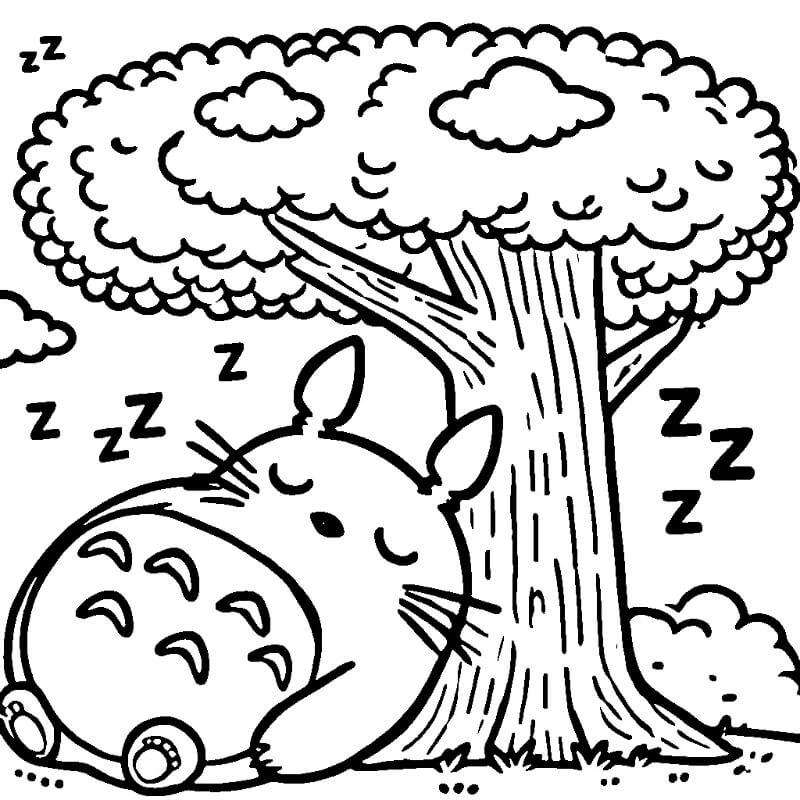 Totoro per Bambini di 6 Anni da colorare