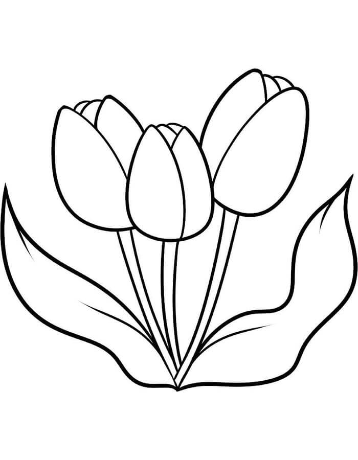 Tre Tulipani da colorare