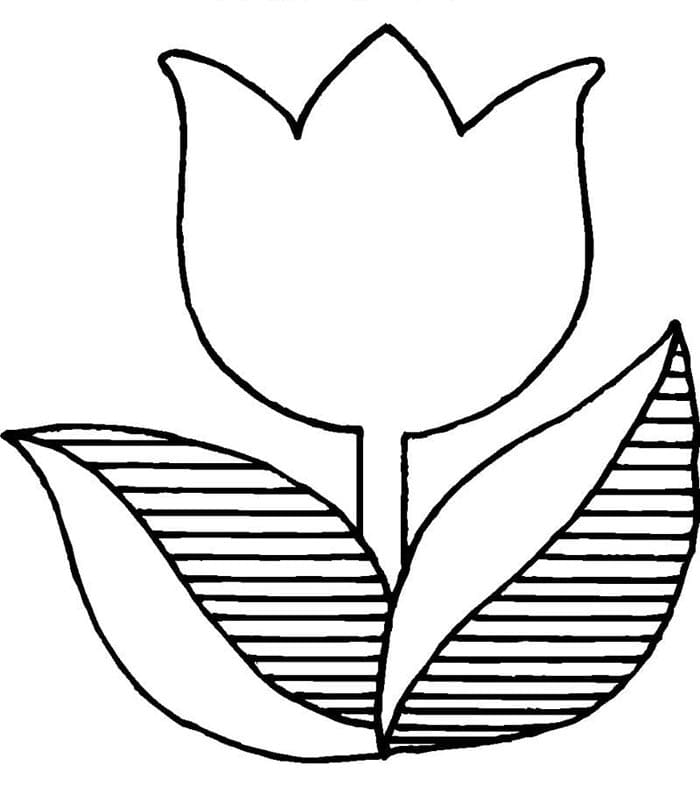 Tulipano Facile da colorare