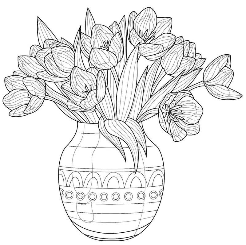 Tulipano Immagine Libera da colorare