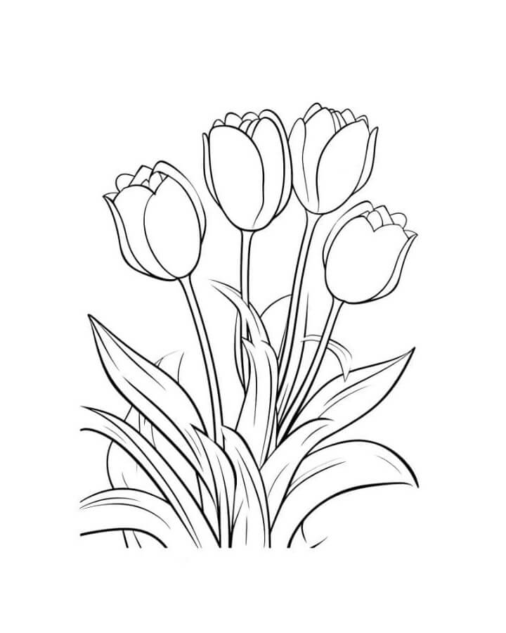 Tulipano per Bambini di 4 Anni da colorare
