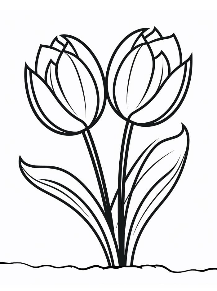 Tulipani da colorare