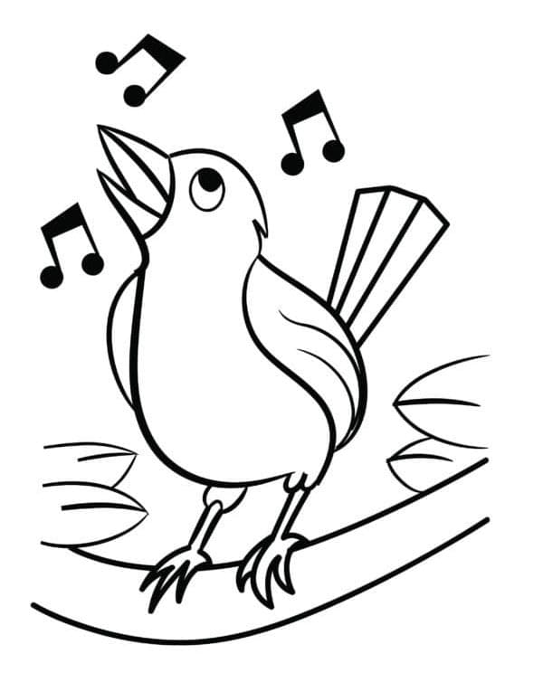 Uccellino Carino da colorare