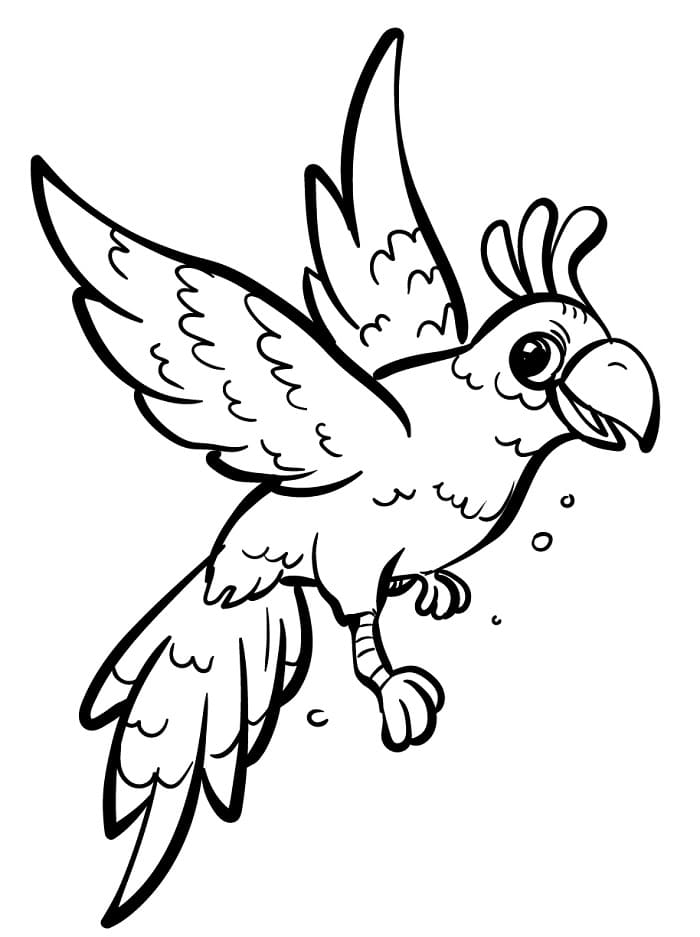 Uccello Regolare da colorare