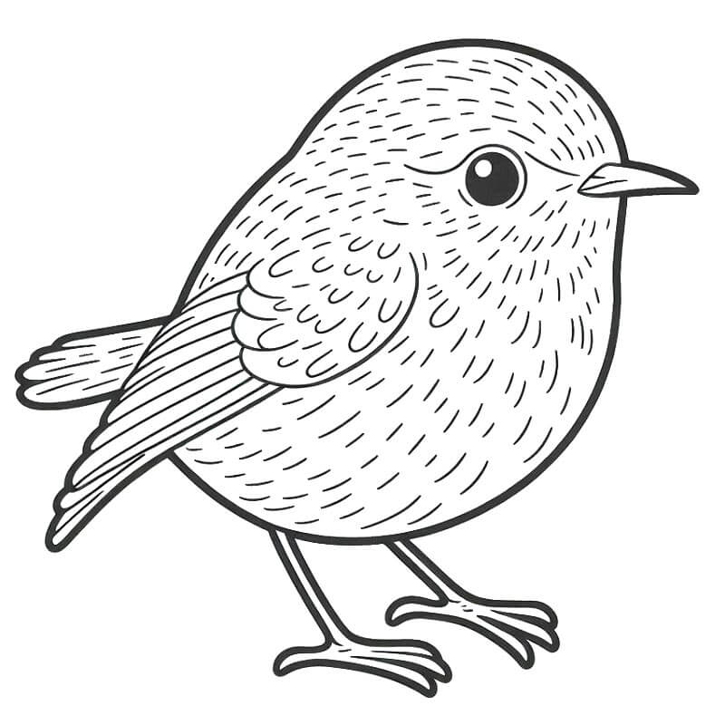 Uccello per Bambini da colorare