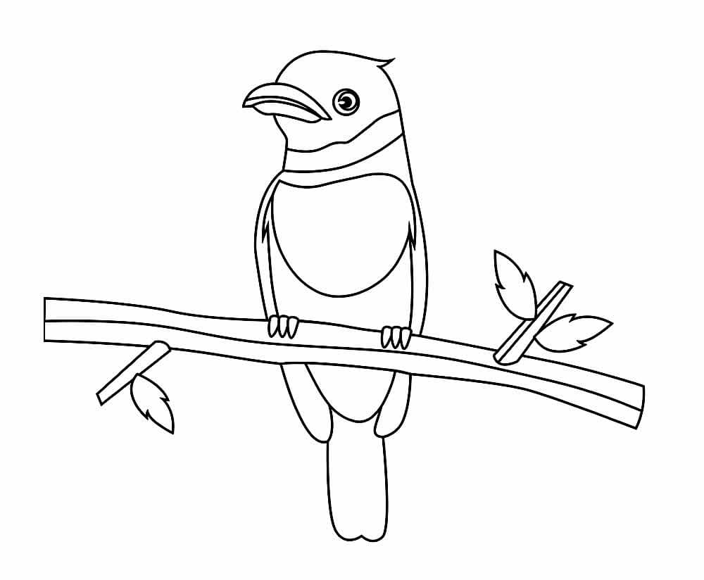 Uccello sul ramo da colorare