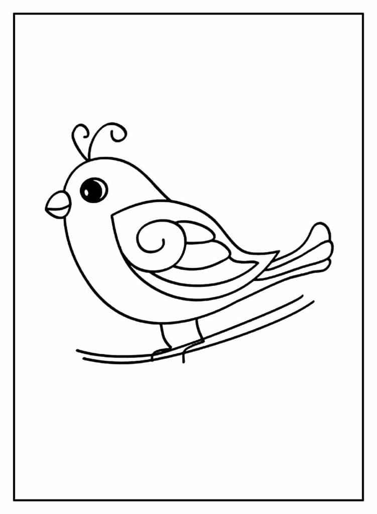 Uccello sull'albero da colorare