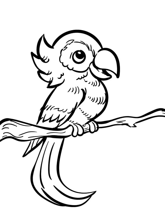 Uccello da colorare