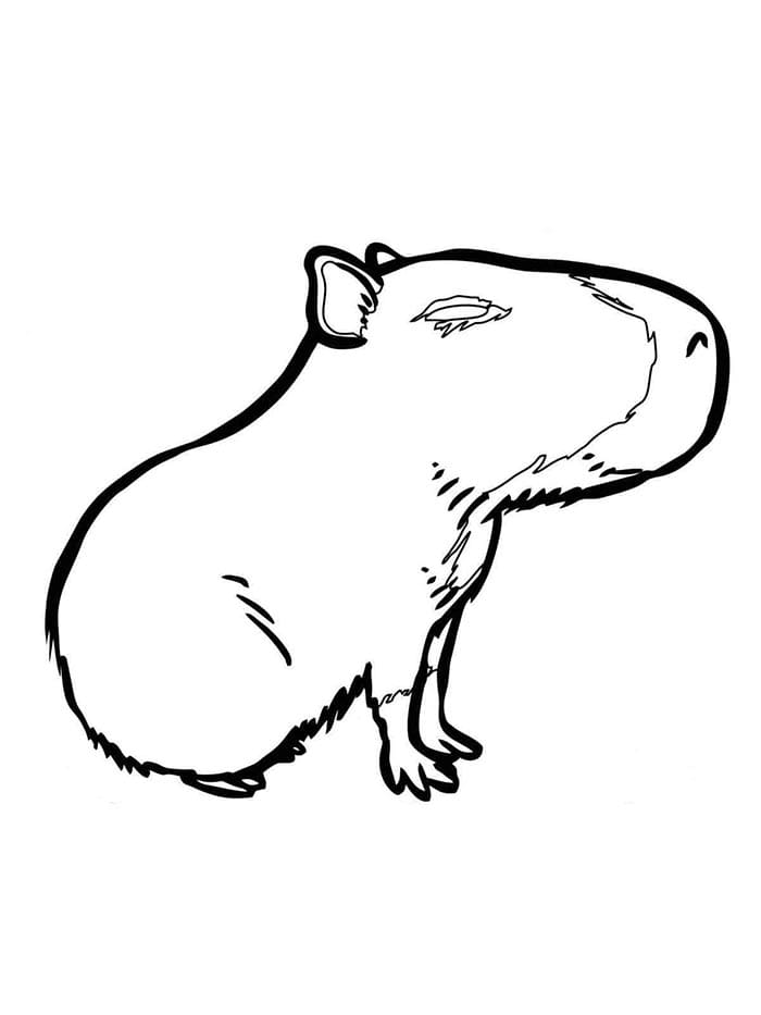 Un Capibara Carino da colorare