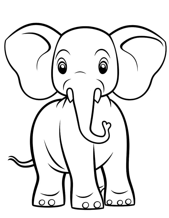Un Elefante da colorare
