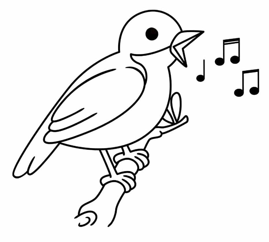 Un uccello sull'albero da colorare