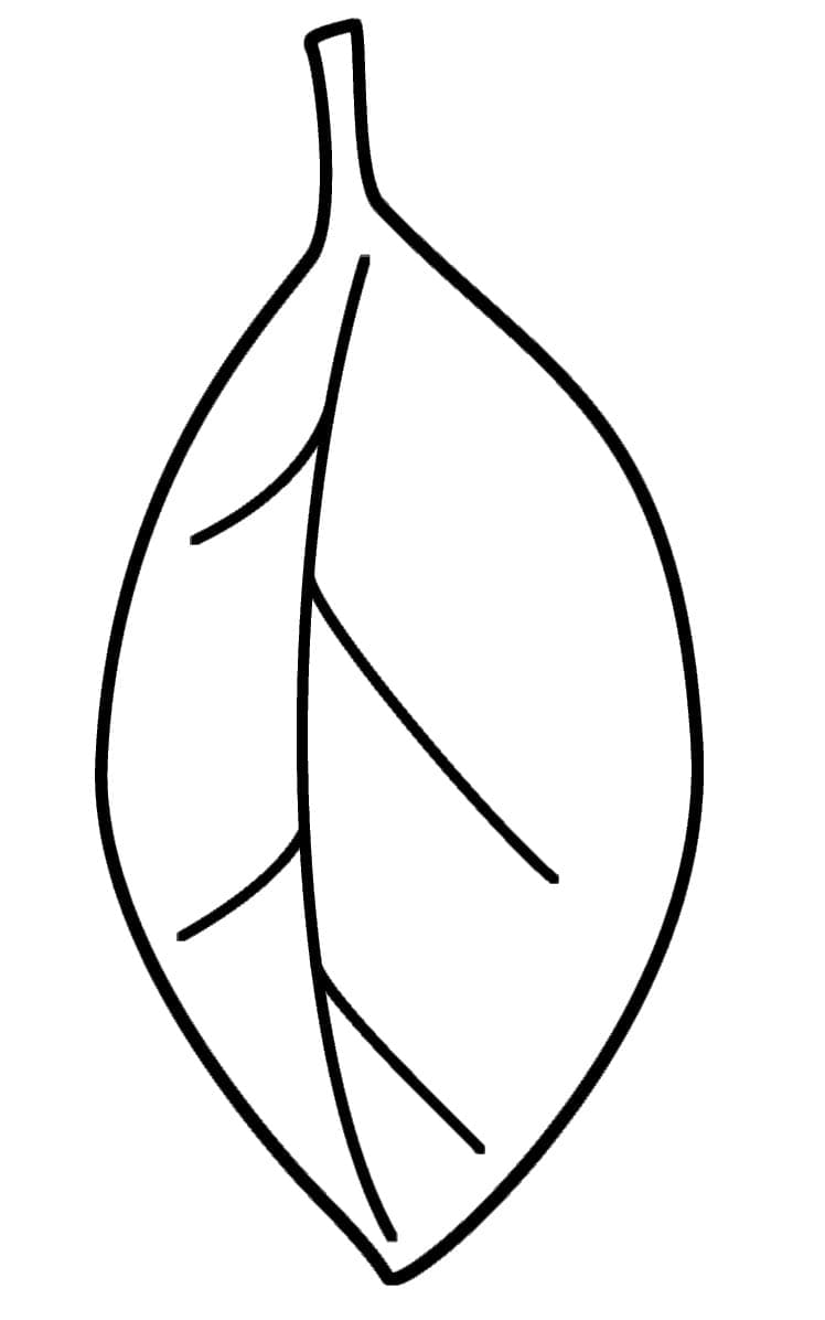 Una Foglia da colorare