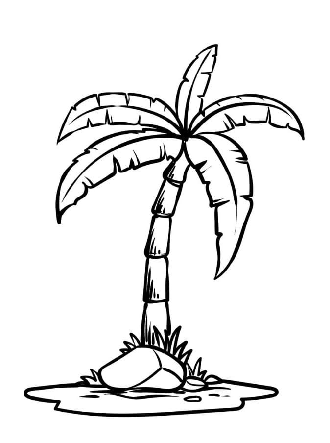 Una Palma da colorare