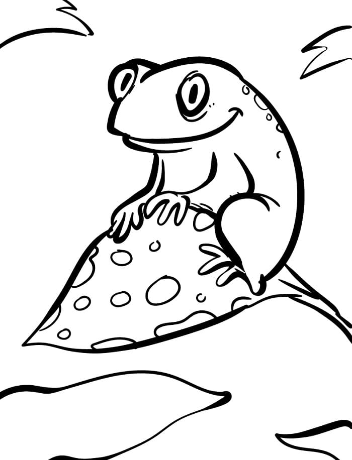 Una Rana da colorare