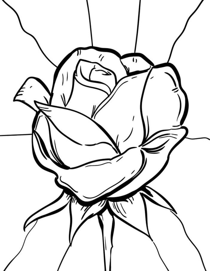 Una Rosa da colorare
