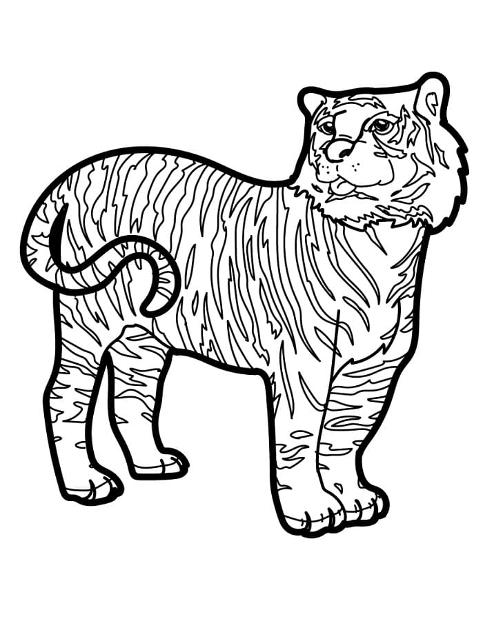 Una Tigre da colorare