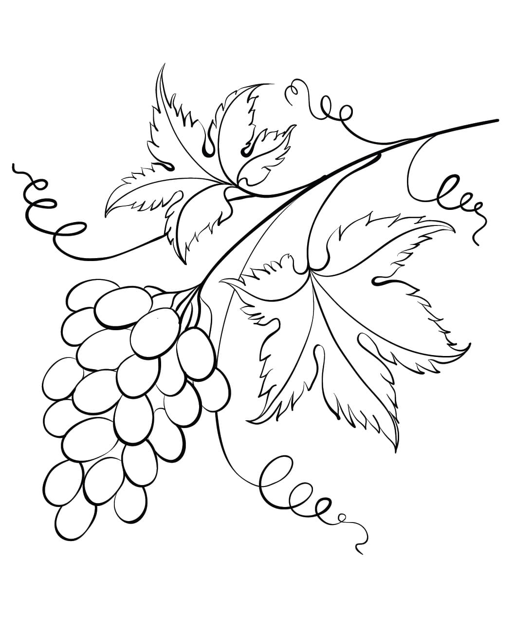 Uva (3) da colorare