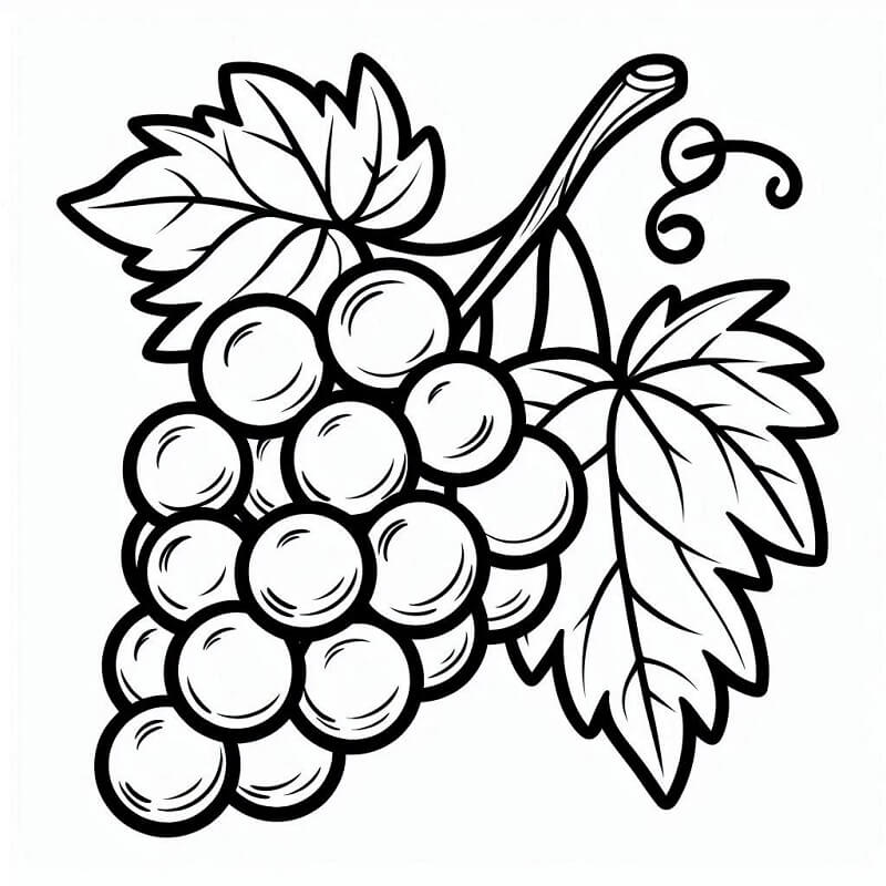 Uva Gratuita da colorare