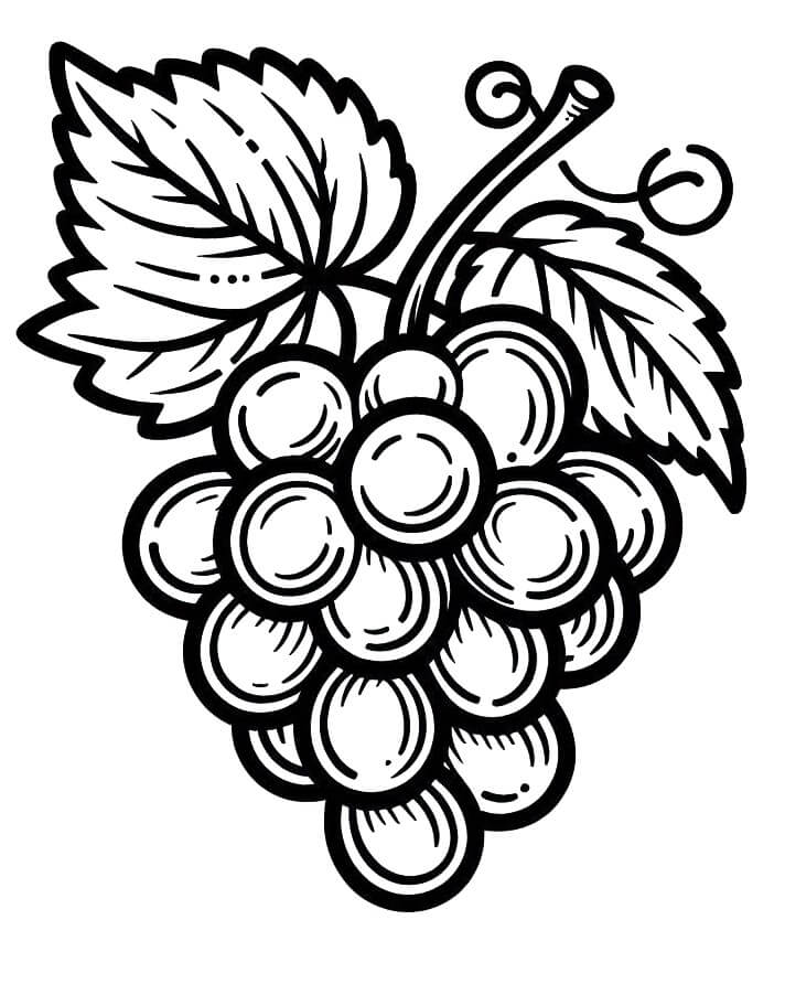 Uva Libera da colorare