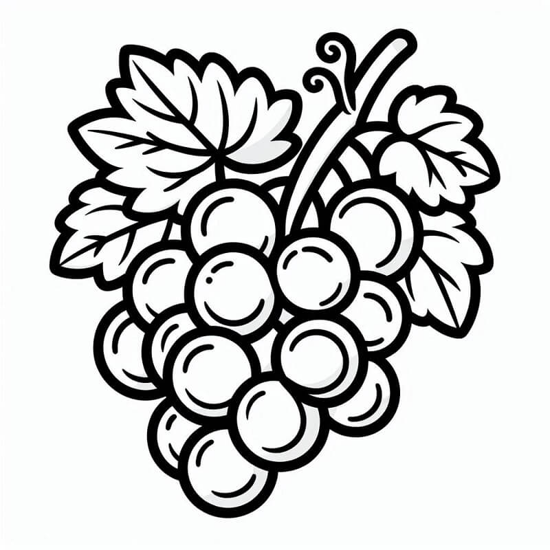 Uva Semplice da colorare