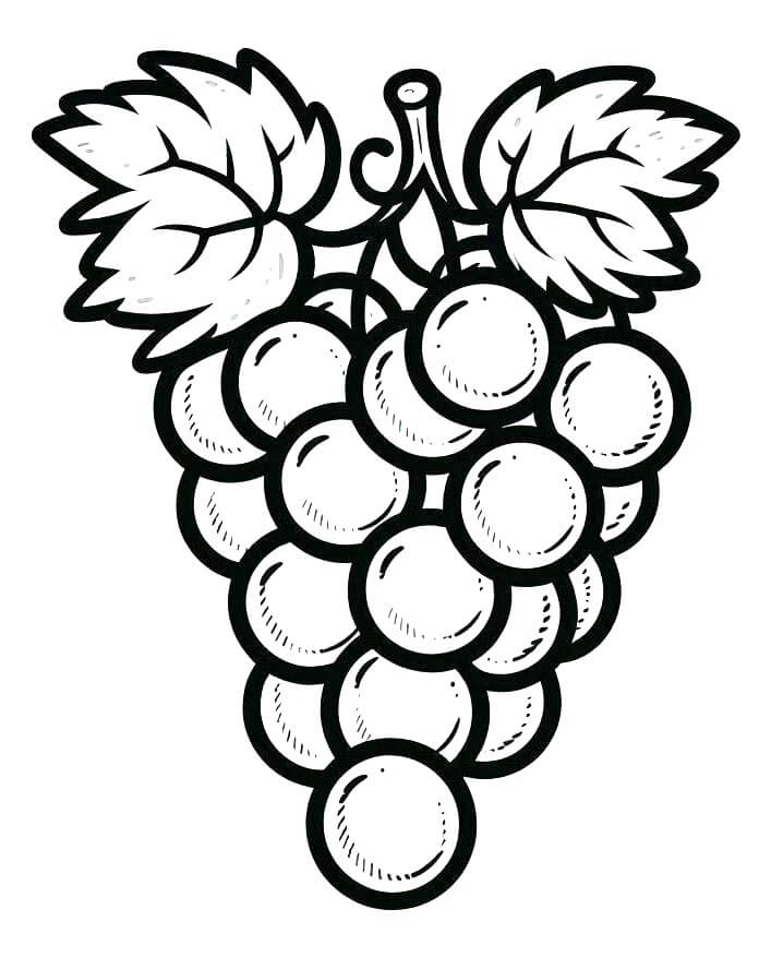 Uva Stampabile Gratuita da colorare