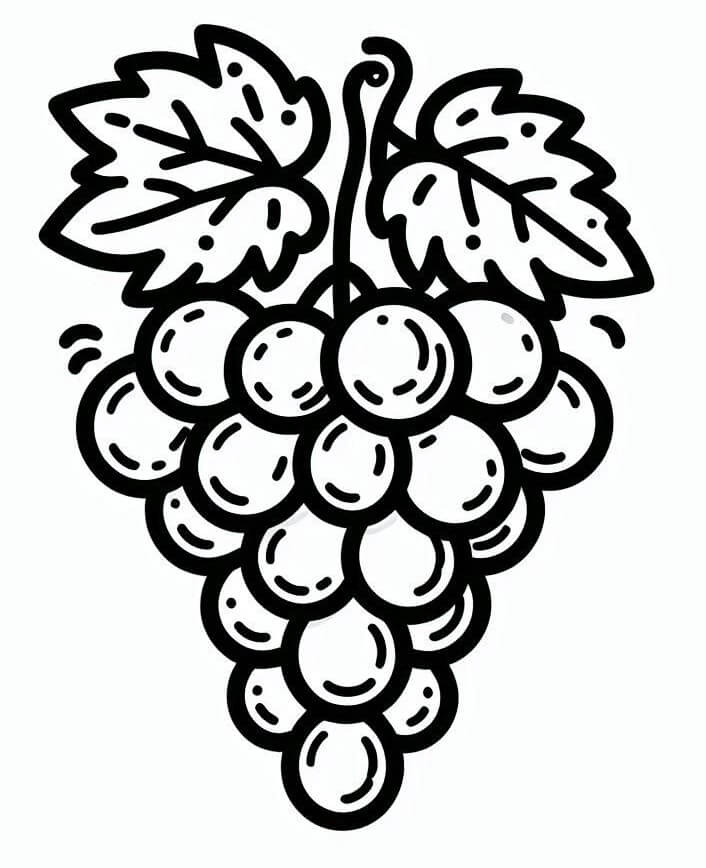 Uva a Costo Zero da colorare