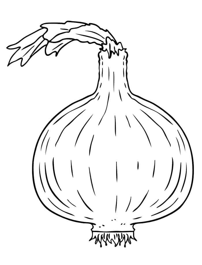 Verdura (1) da colorare