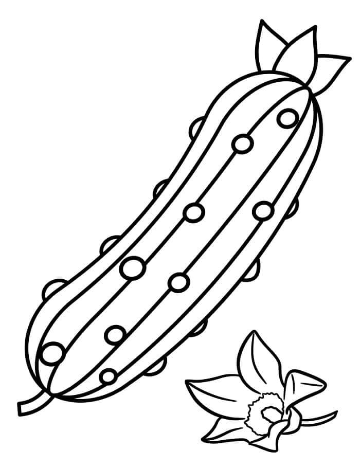 Verdura (5) da colorare