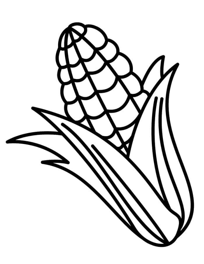 Verdura Stampabile a Costo Zero da colorare