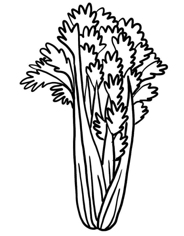 Verdura a Costo Zero da colorare