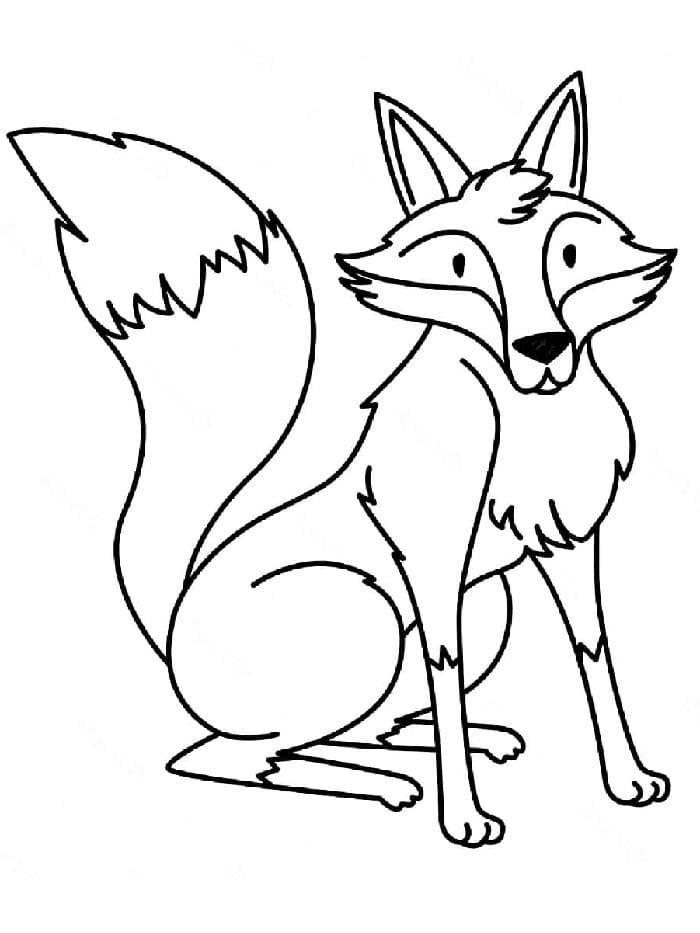 Volpe a Cartoni da colorare