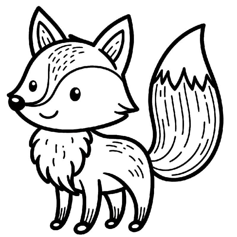 Volpe per Bambini da colorare