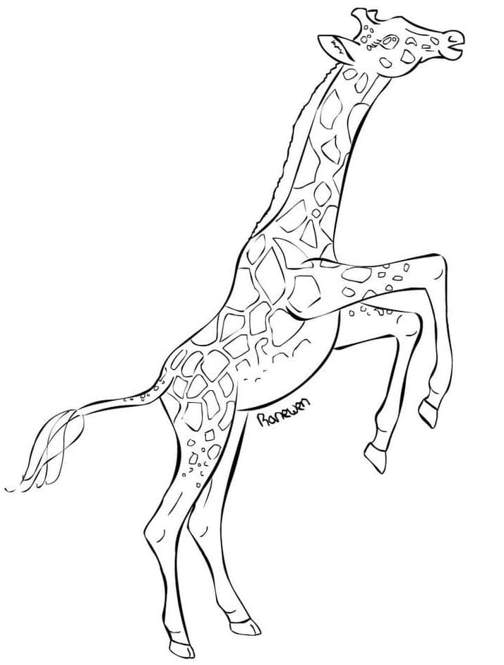 Volpina Carina da colorare