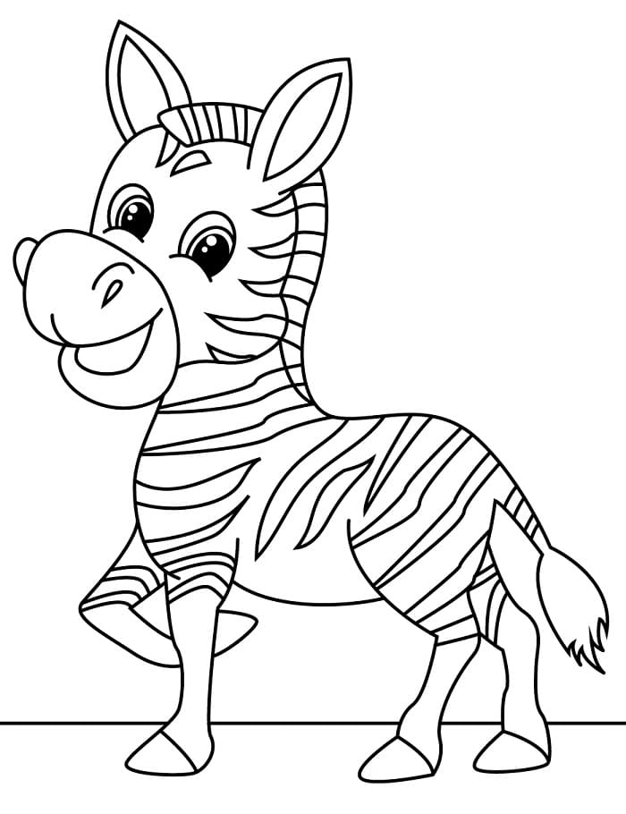 Zebra Bellissima da colorare