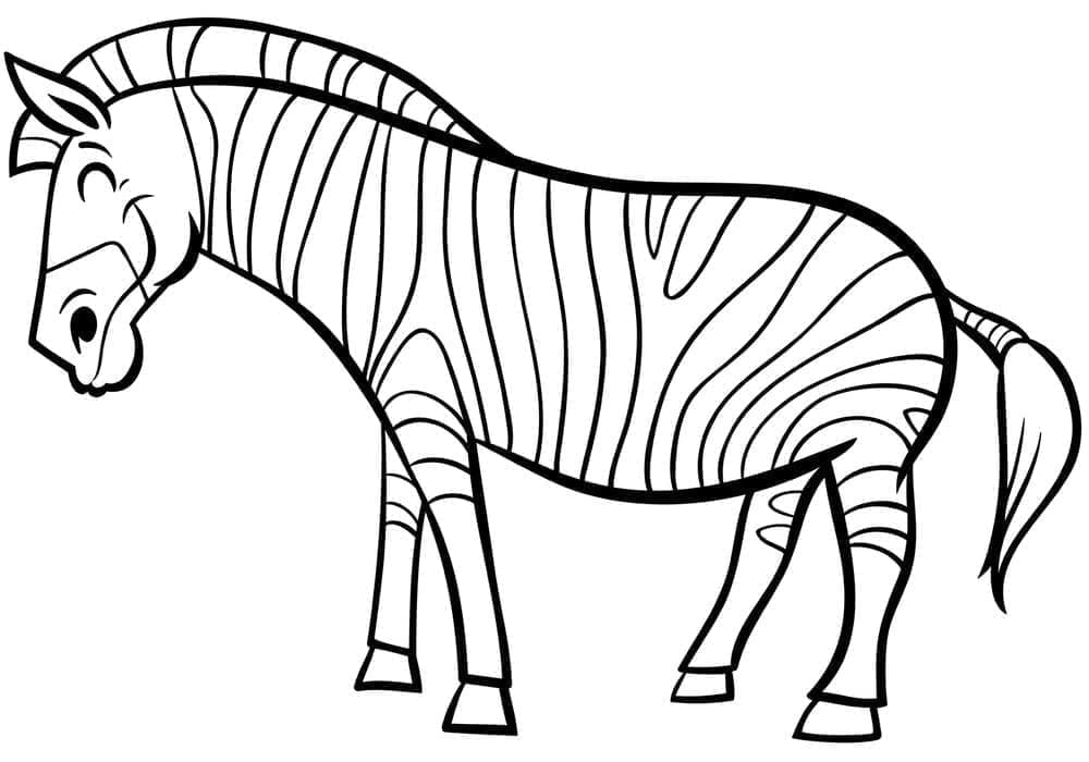 Zebra Piccola da colorare