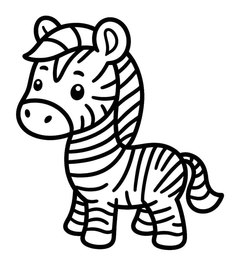 Zebra Stampabile Gratuita da colorare