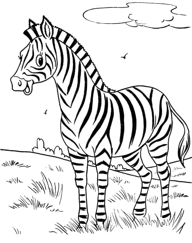 Zebra a Cartoni da colorare