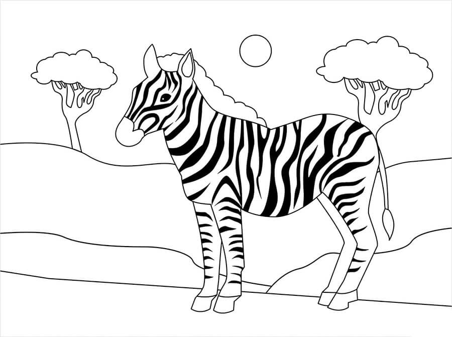 Zebra a Costo Zero da colorare