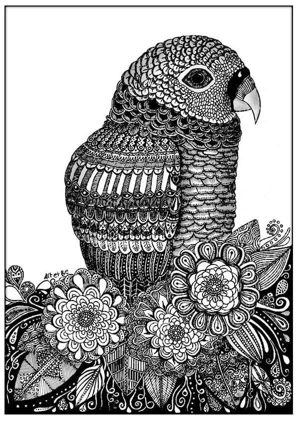 Zentangle Fantastico da colorare