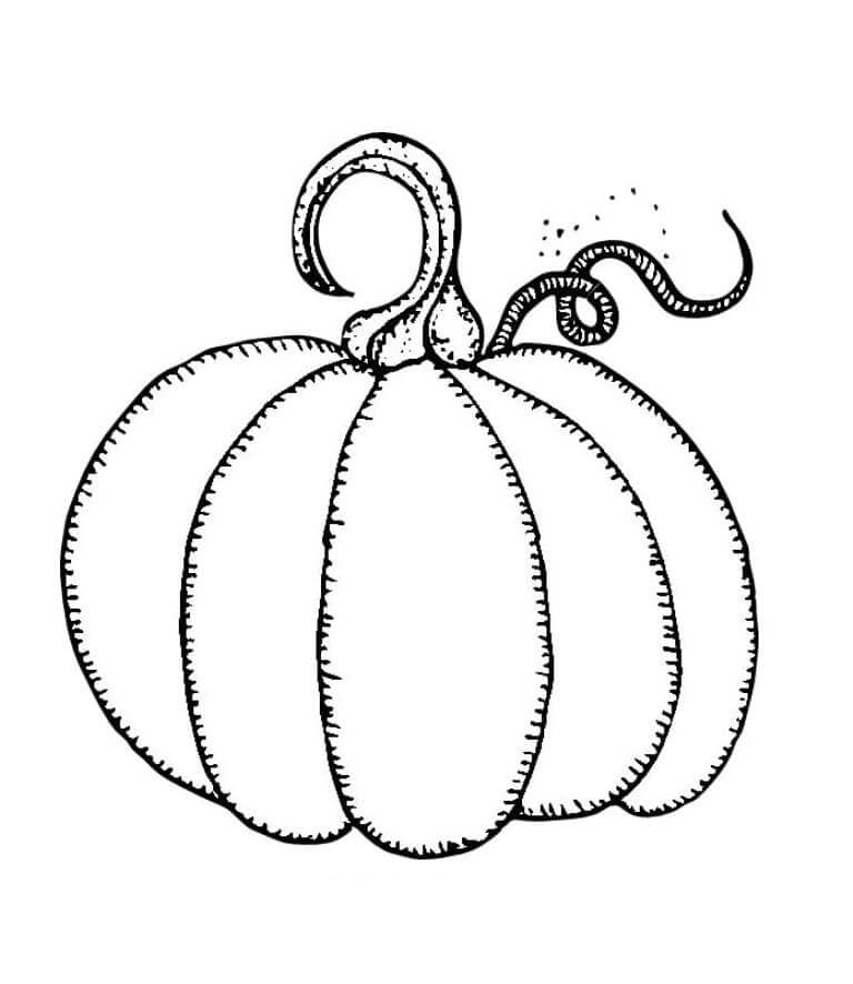 Zucca (3) da colorare