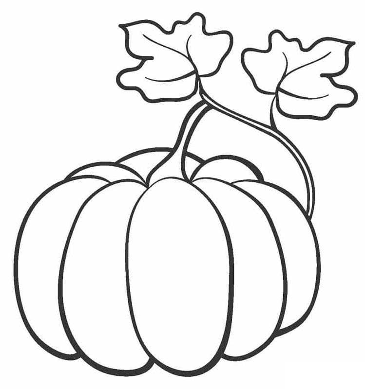 Zucca Stampabile da colorare