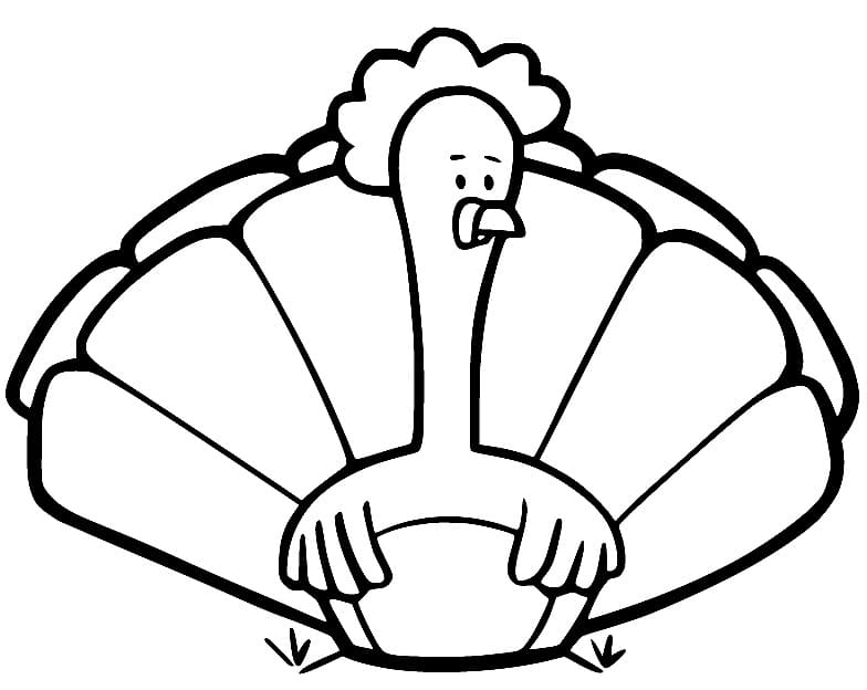 Tacchino Gratuito da colorare