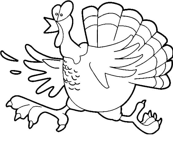 Tacchino che Corre da colorare
