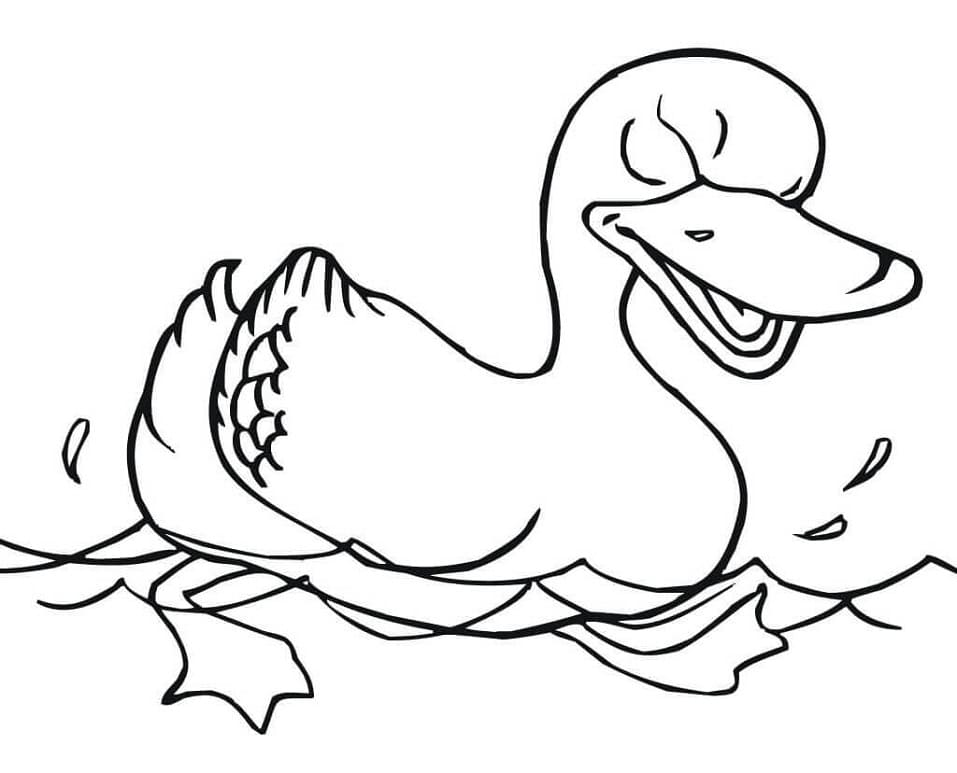 Anatra Stampabile Gratis da colorare